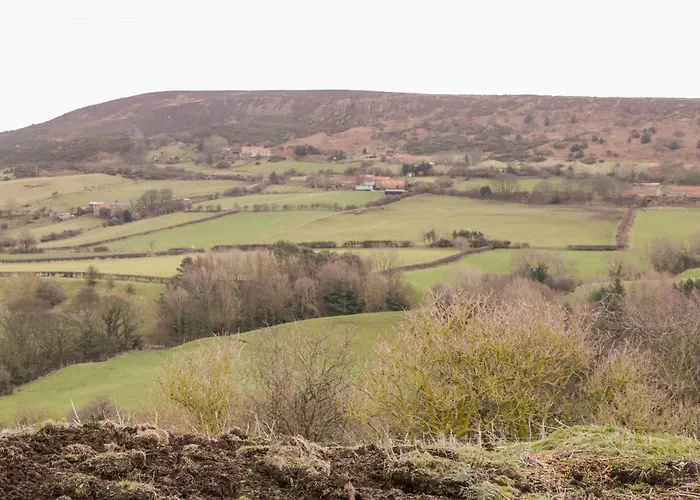 Vakantiehuis Orchard