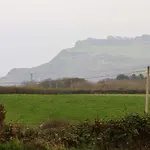 Orchard Whitby